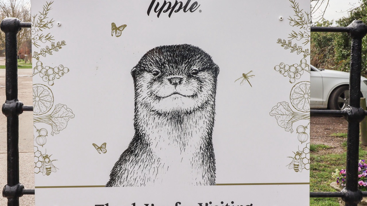 Photo of Others in Ripley