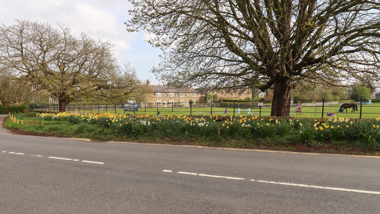 Photo of Others in Ripley