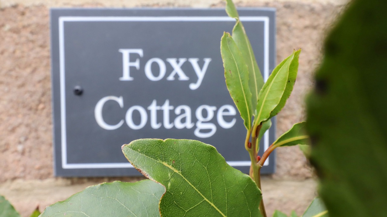 Photo of Others in Ripley