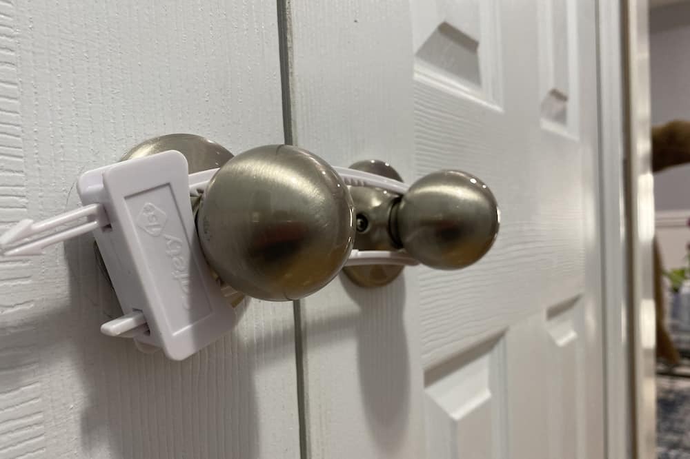 Photo of Others in Orange Lake