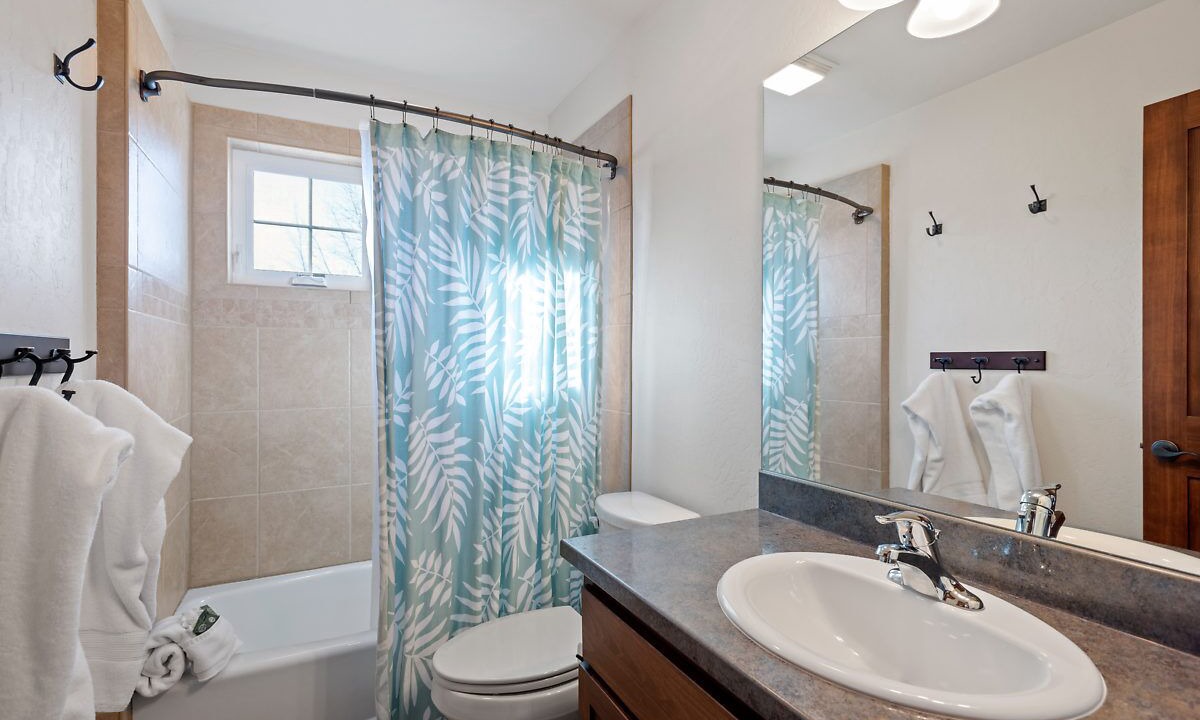 Photo of Others in Dover Bay