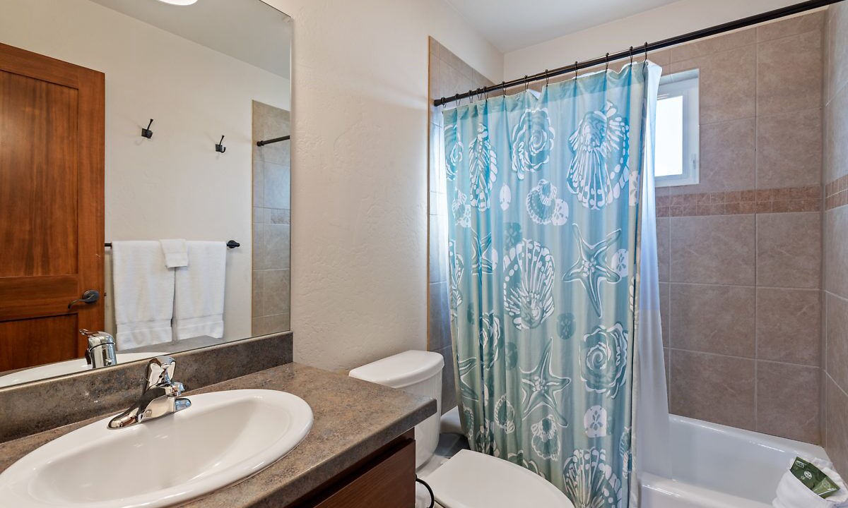 Photo of Others in Dover Bay