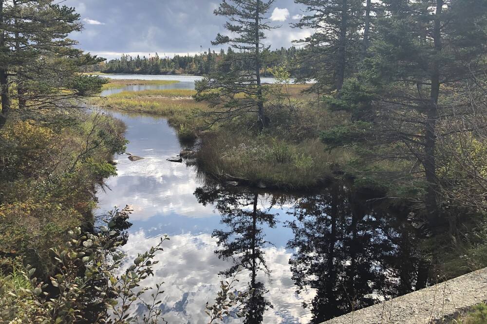 Photo of Outdoor in West Dublin