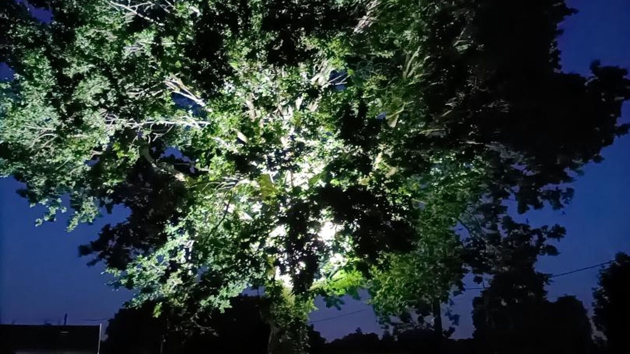 Photo of Outdoor in Steenwerck