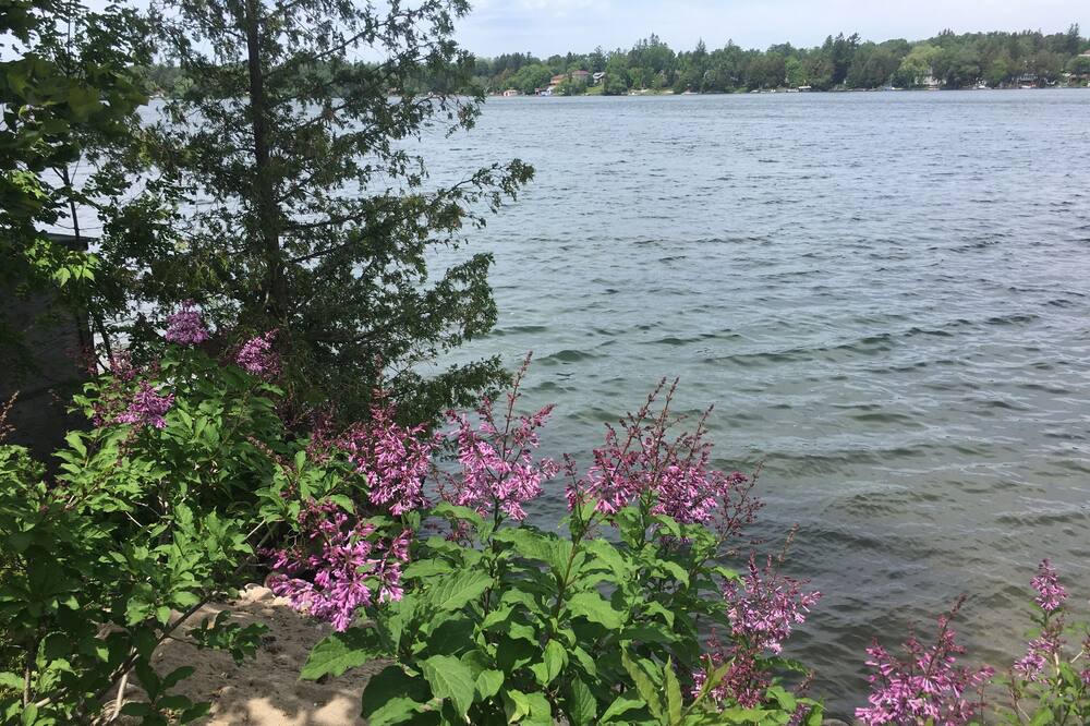 Photo of Outdoor in Whitchurch-Stouffville
