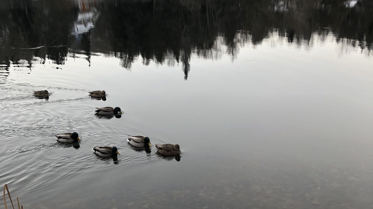 Photo of Outdoor in Amherst