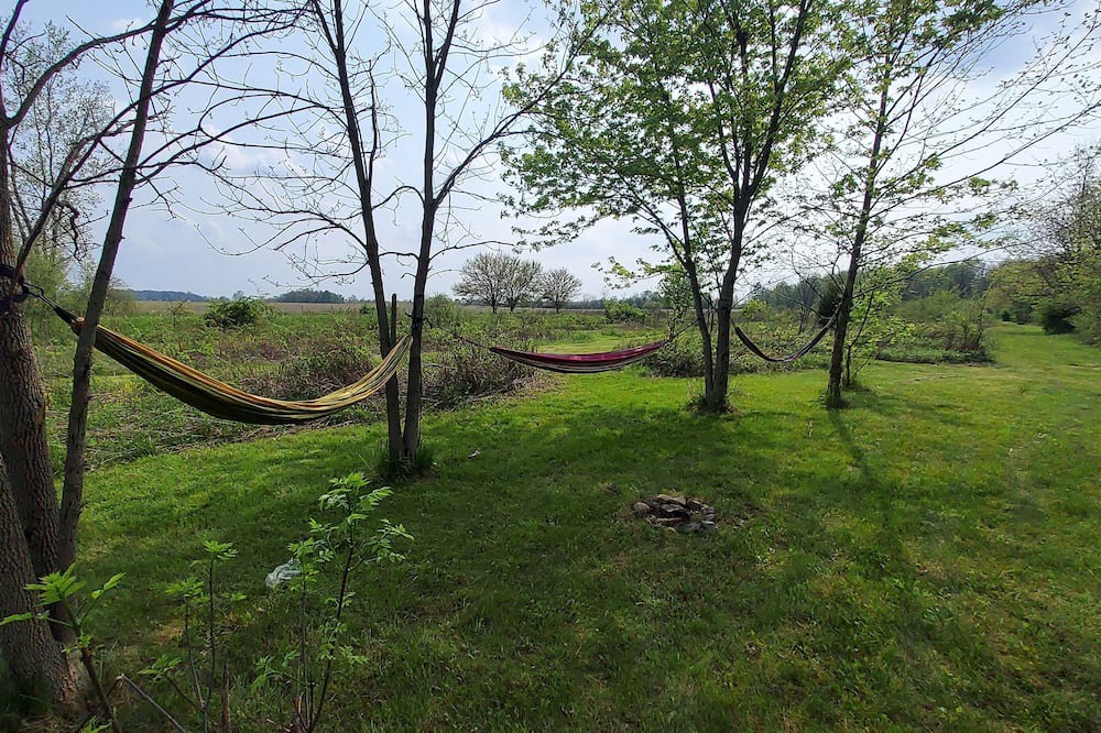 Photo of Others in Maxwell