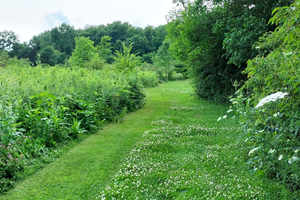 Photo of Outdoor in Maxwell