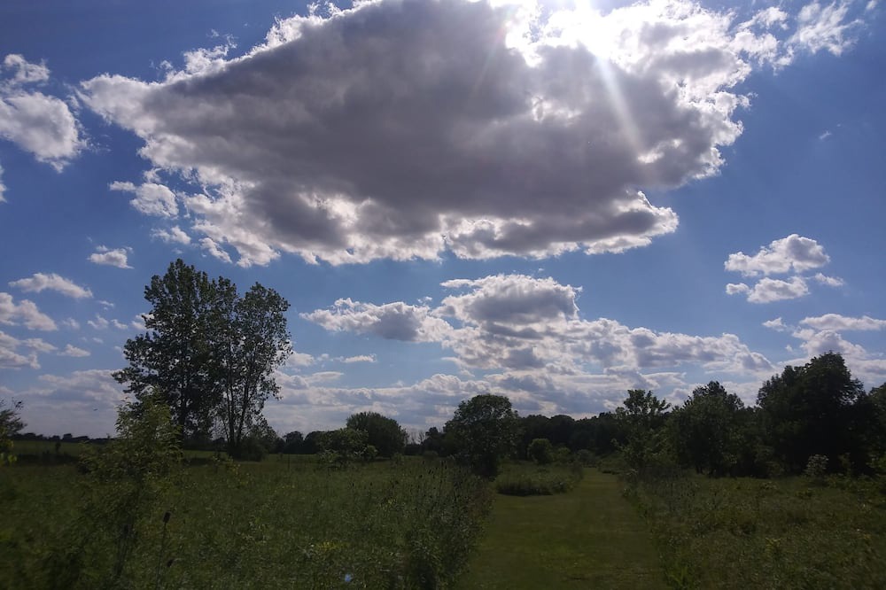 Photo of Outdoor in Maxwell