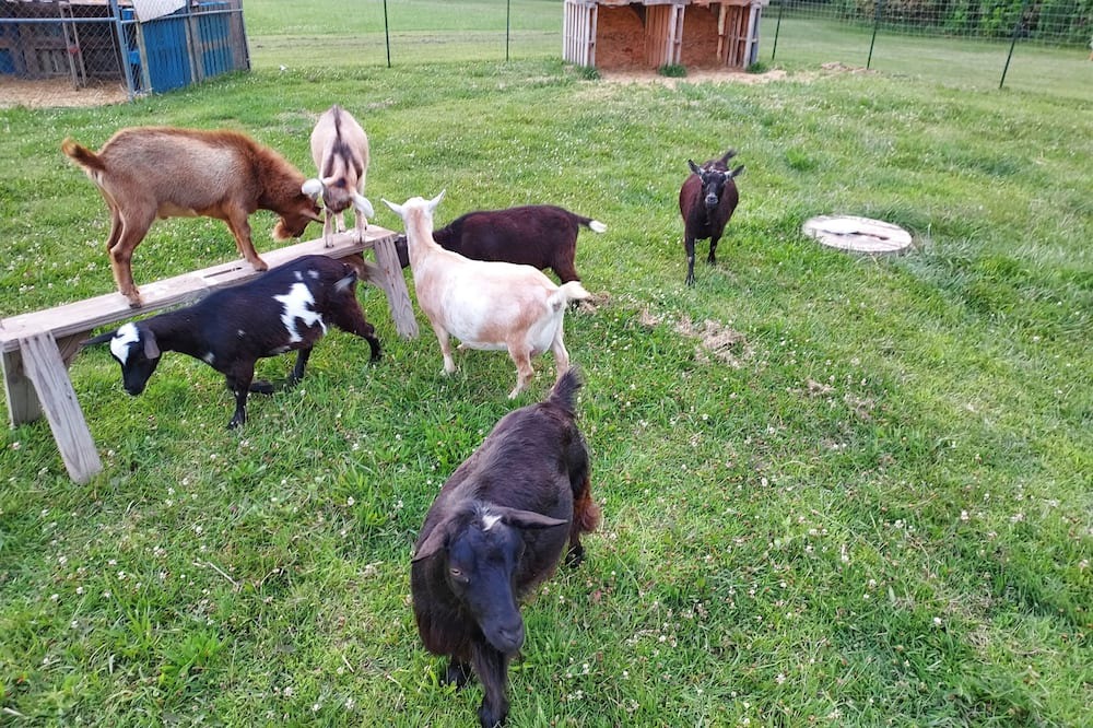 Photo of Others in Maxwell