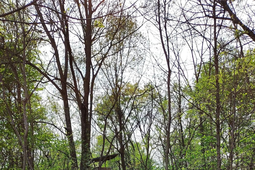 Photo of Others in Maxwell