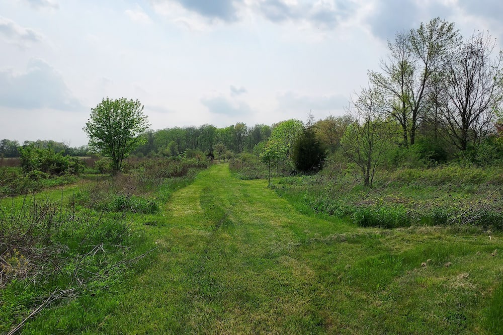 Photo of Outdoor in Maxwell