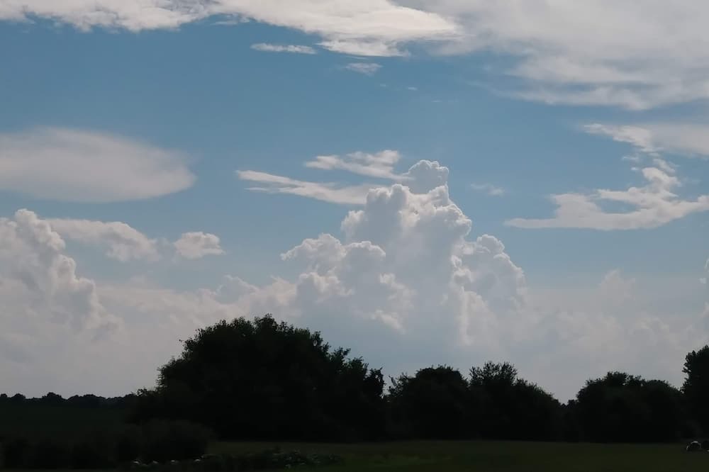 Photo of Others in Maxwell