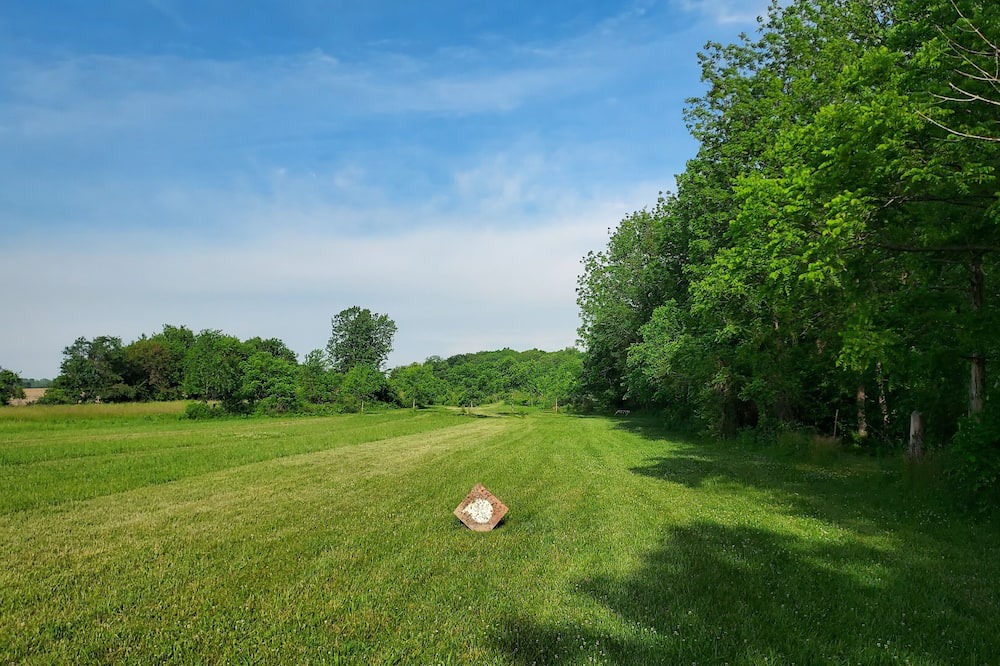 Photo of Others in Maxwell