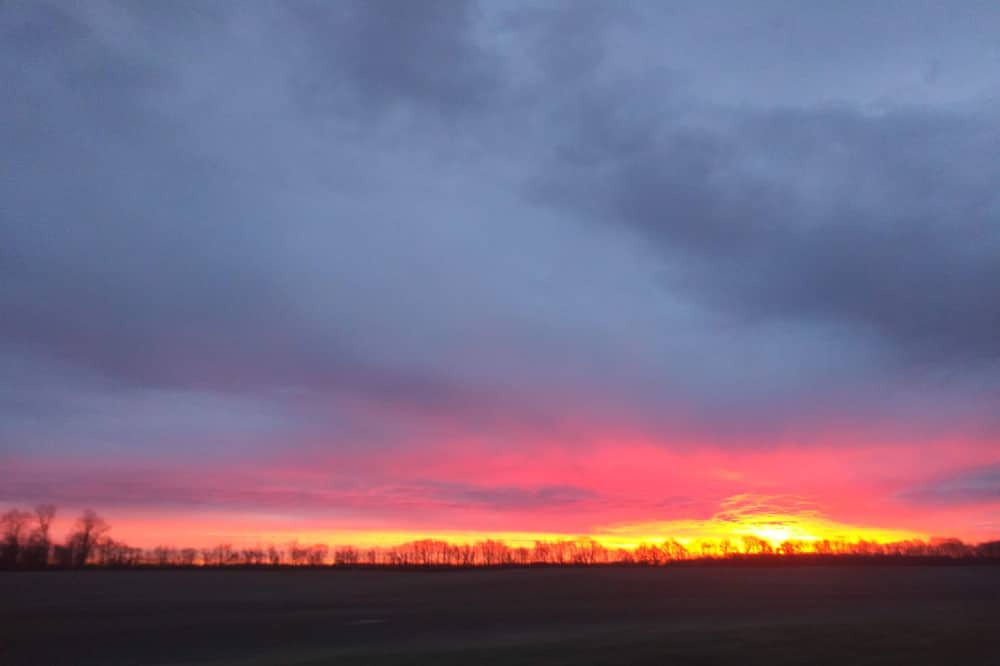 Photo of Others in Maxwell