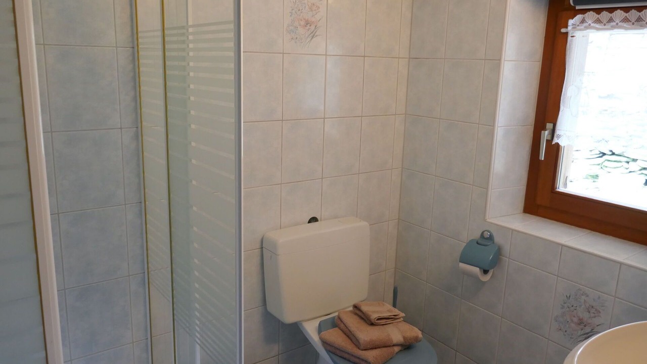Photo of Bathroom in Malvaglia