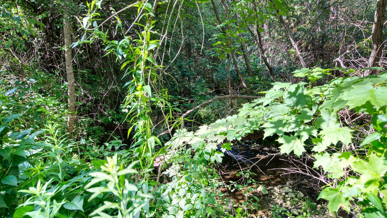 Photo of Outdoor in Ajax