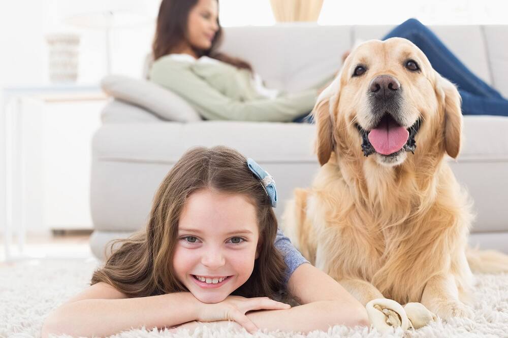 Photo of Bedroom in Sandringham