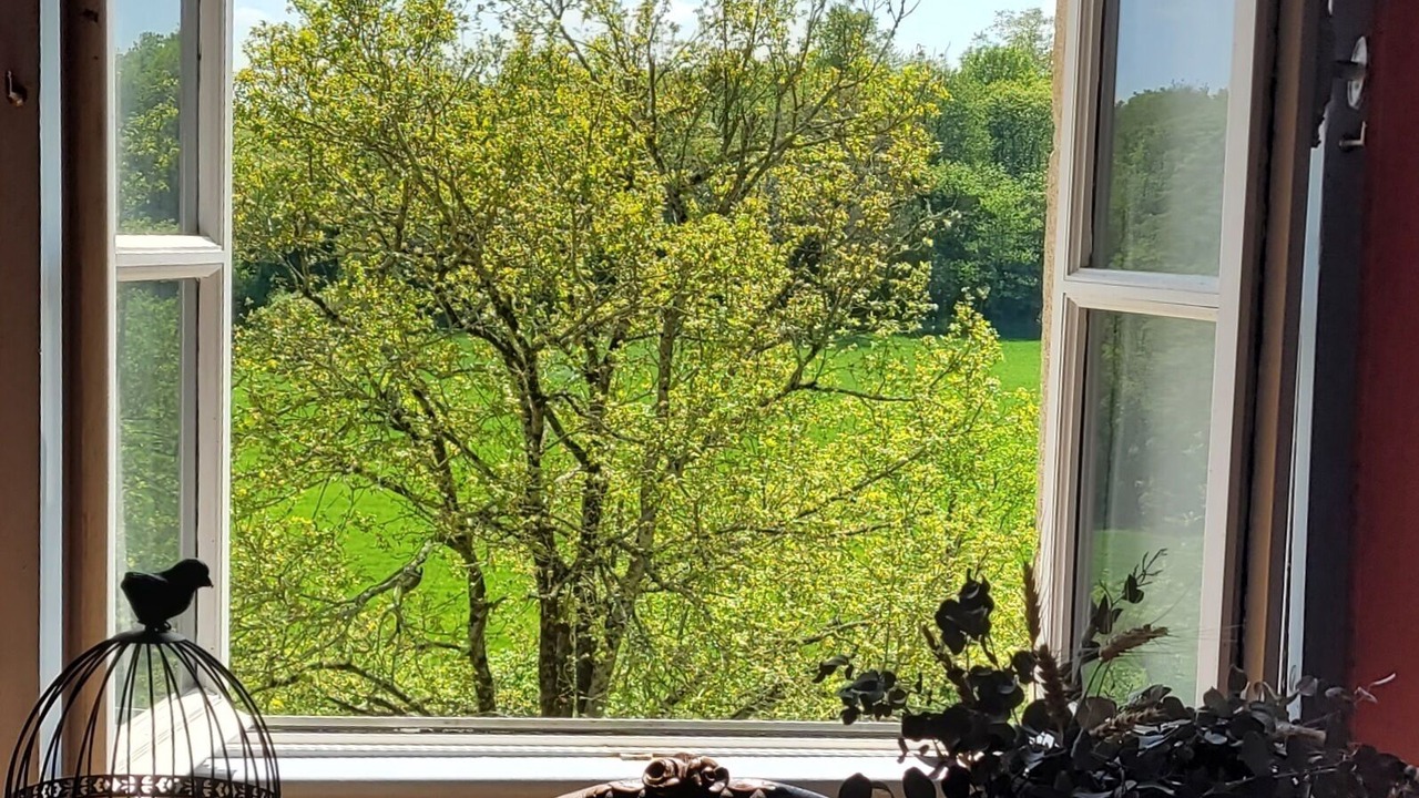 Photo of Others in Rocheserviere