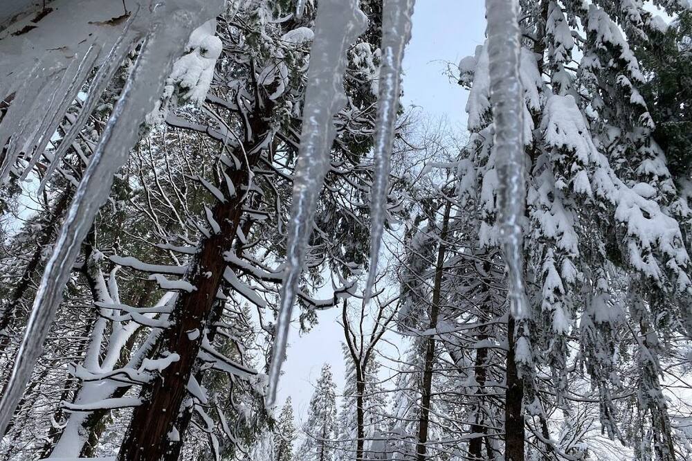 Photo of Outdoor in Foresthill