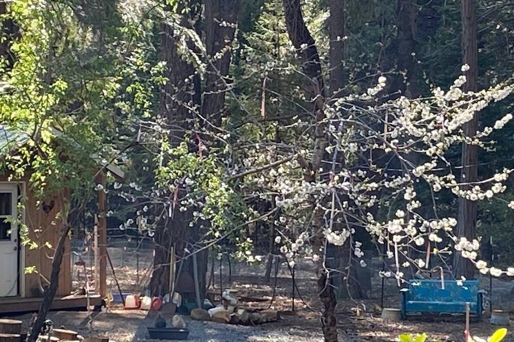 Photo of Others in Foresthill