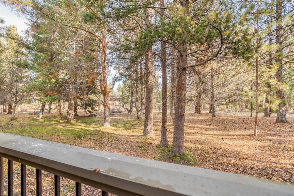 Photo of Outdoor in Century West