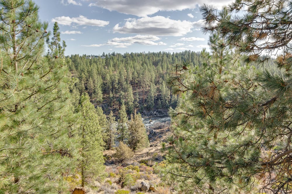 Photo of Outdoor in Sagewood