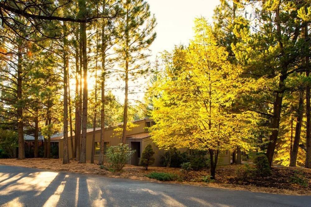 Photo of Outdoor in Century West