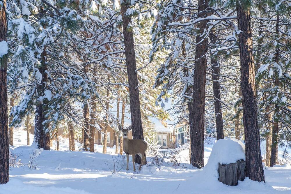 Photo of Others in Century West