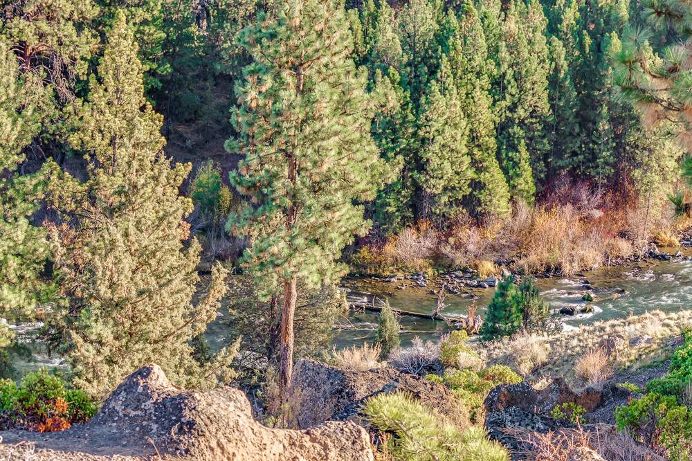 Photo of Outdoor in Century West