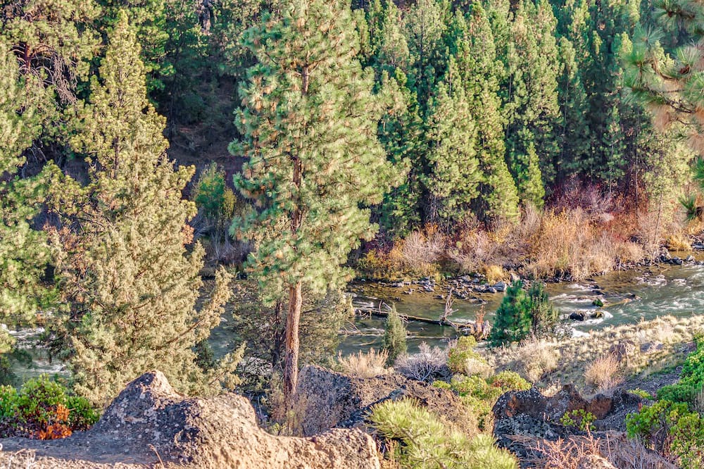 Photo of Outdoor in Sagewood