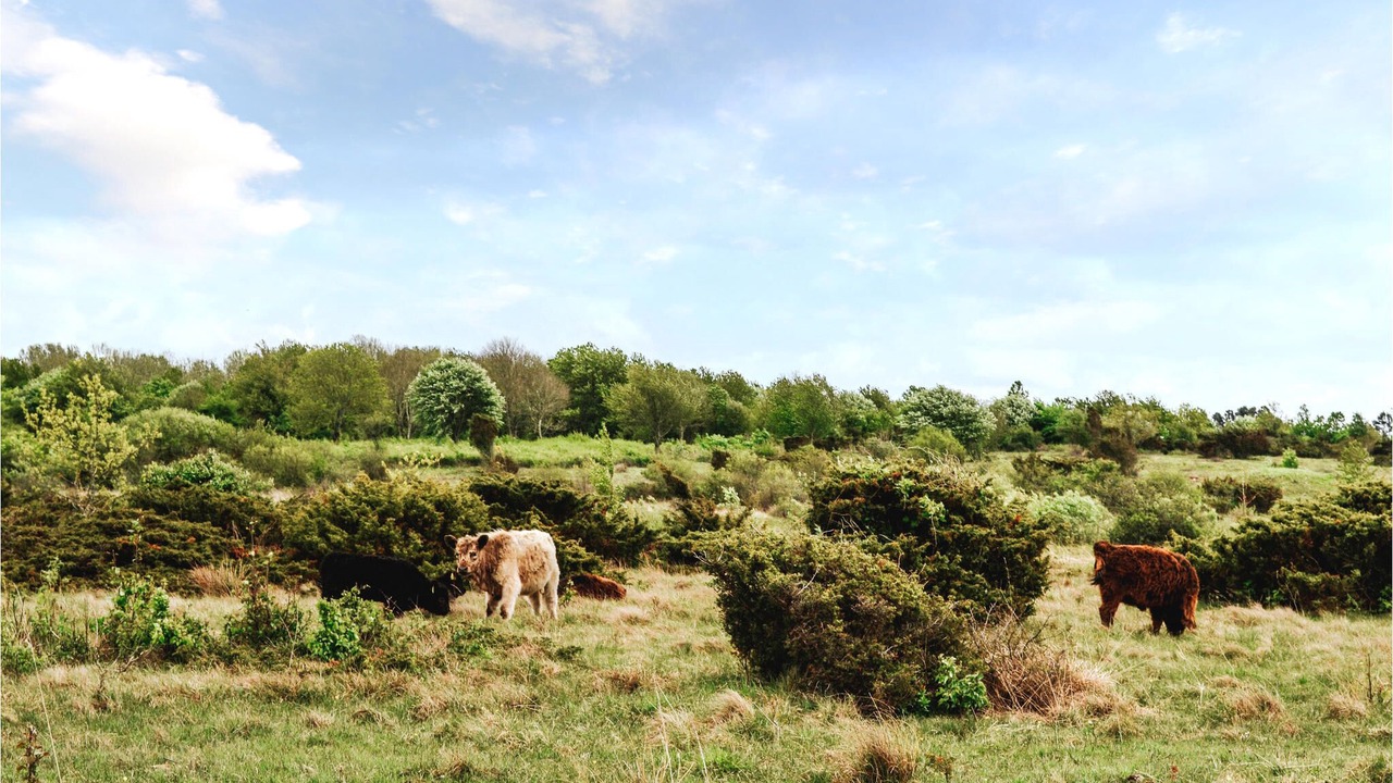 Photo of Outdoor in Follenslev