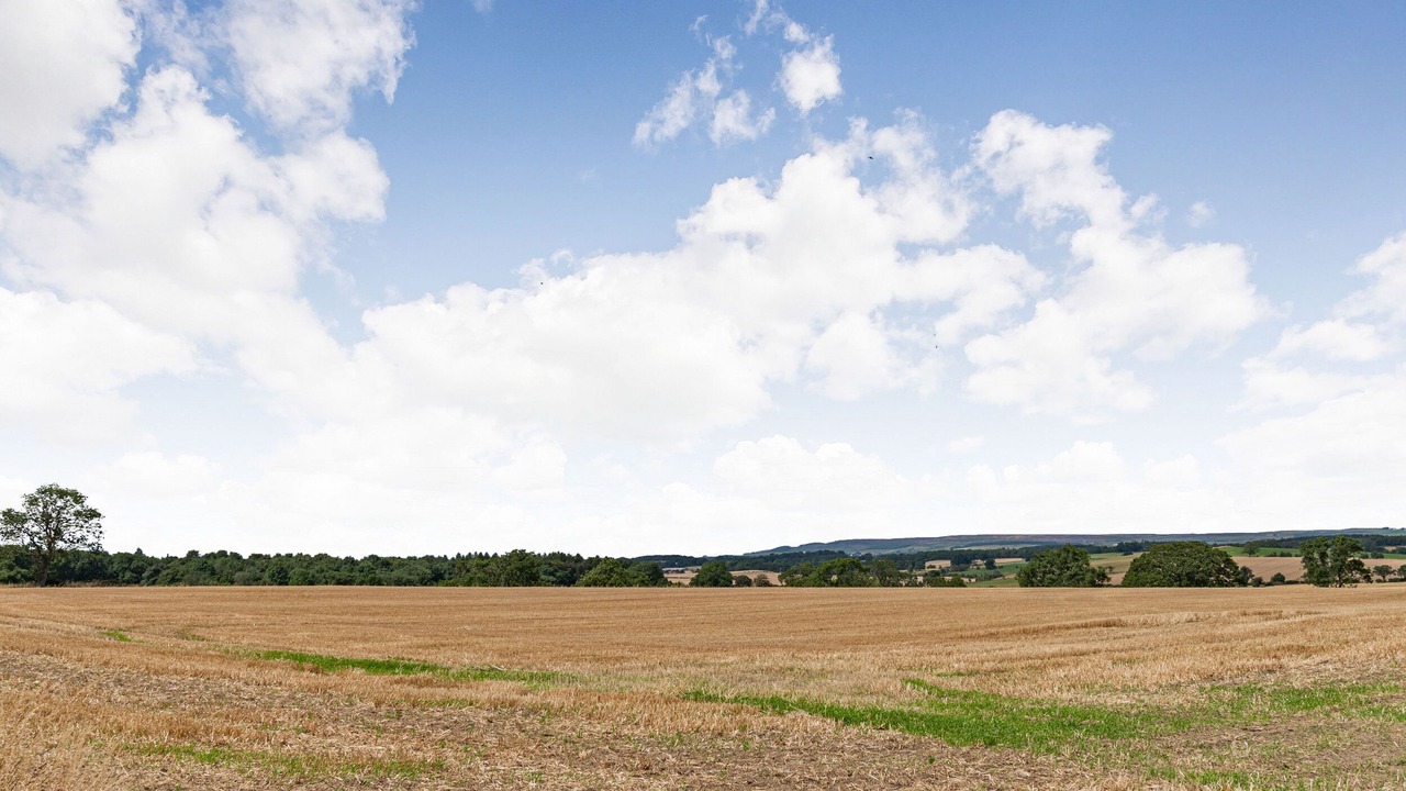 Photo of Outdoor in North Bitchburn