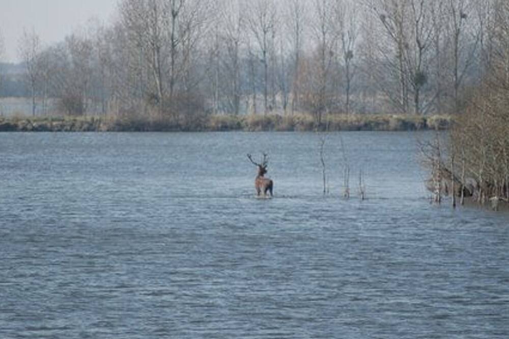 Photo of Others in Paulnay