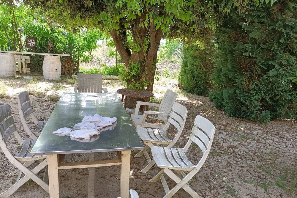 Photo of Outdoor in L'Isle-Jourdain