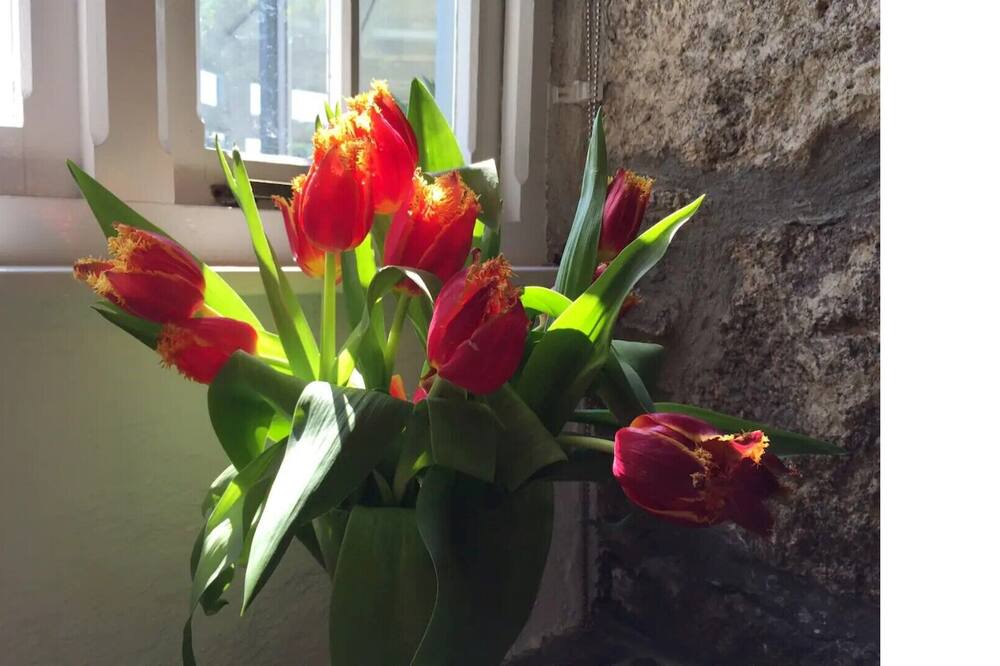 Photo of Others in Blisland