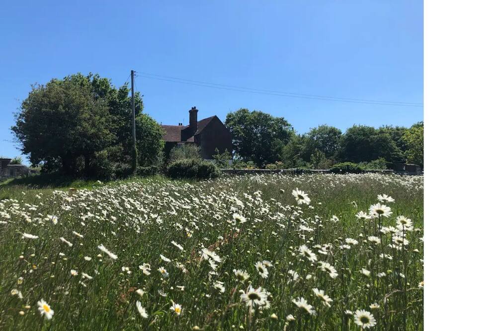 Photo of Outdoor in Upper Dicker