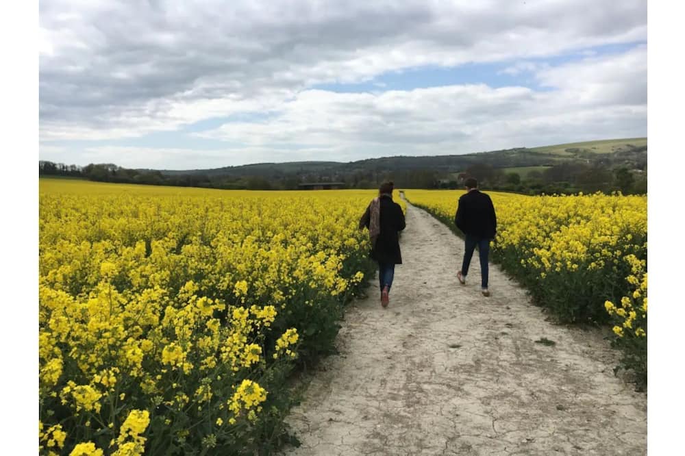 Photo of Outdoor in Upper Dicker