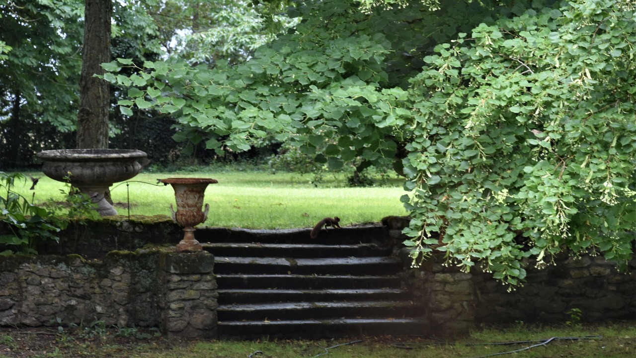 Photo of Outdoor in Luzille
