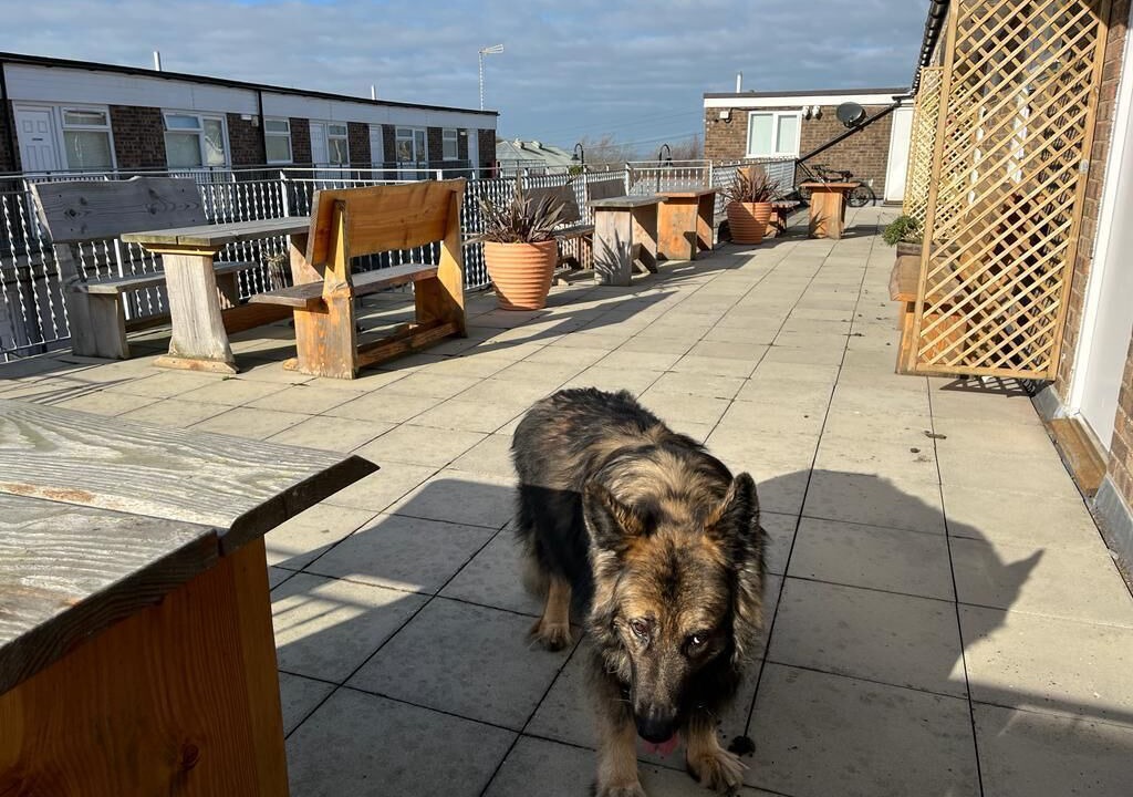 Photo of Others in Aberporth