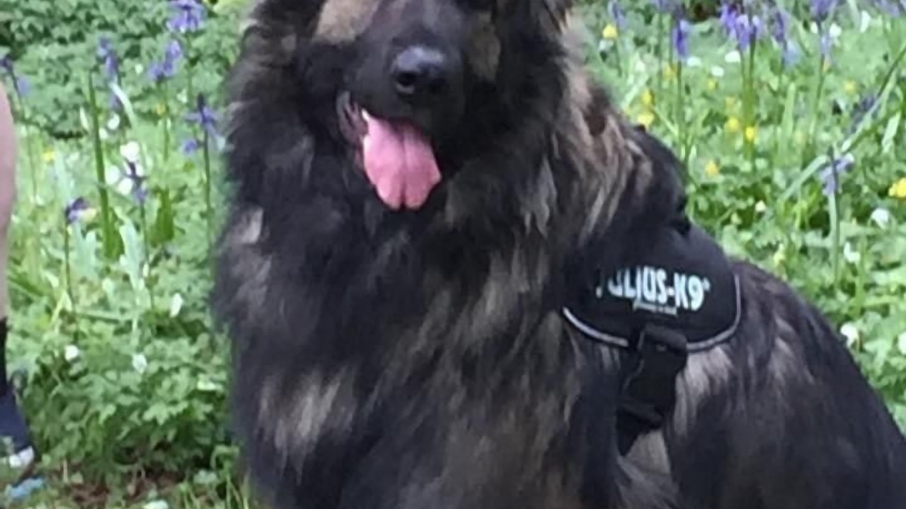 Photo of Others in Aberporth