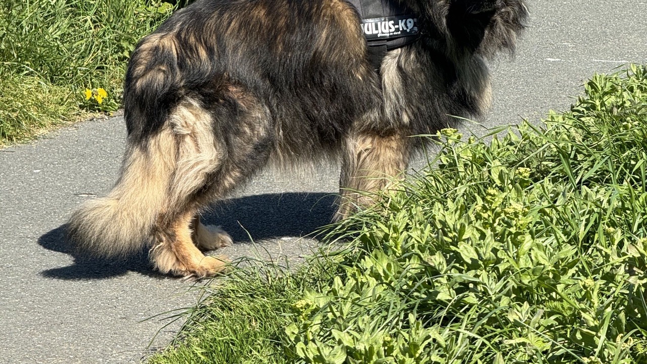 Photo of Others in Aberporth