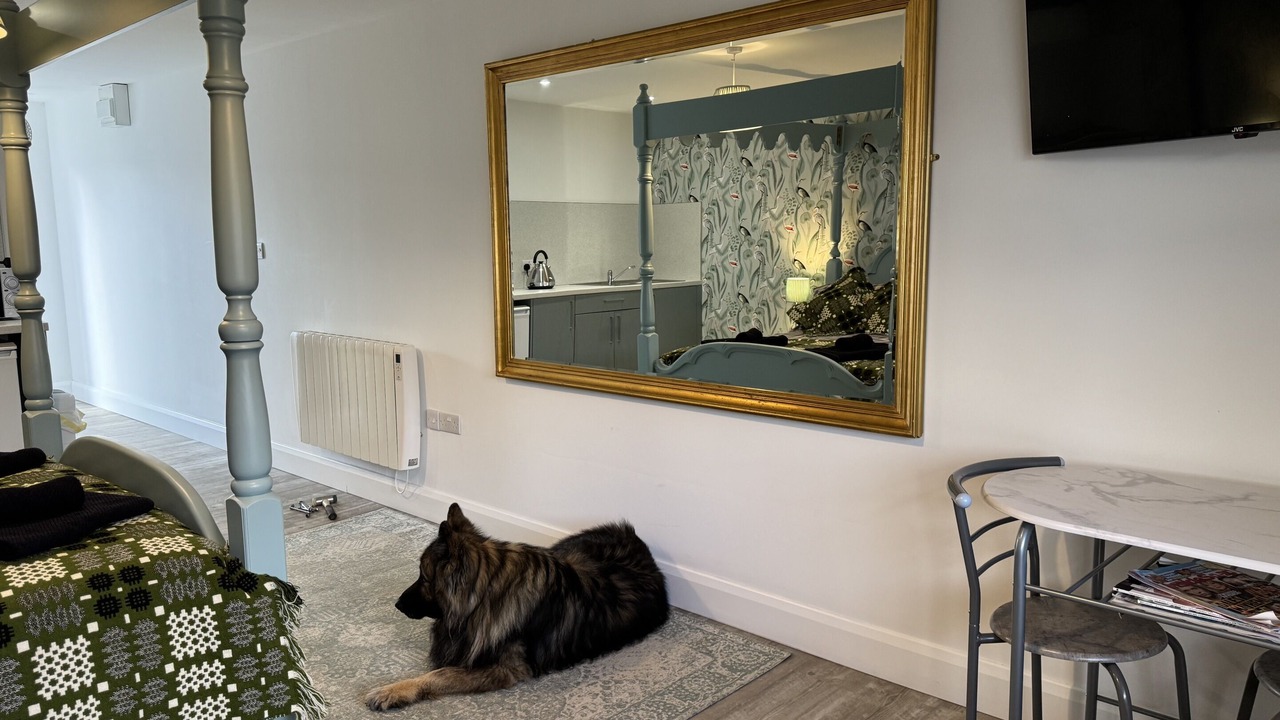 Photo of Bedroom in Aberporth