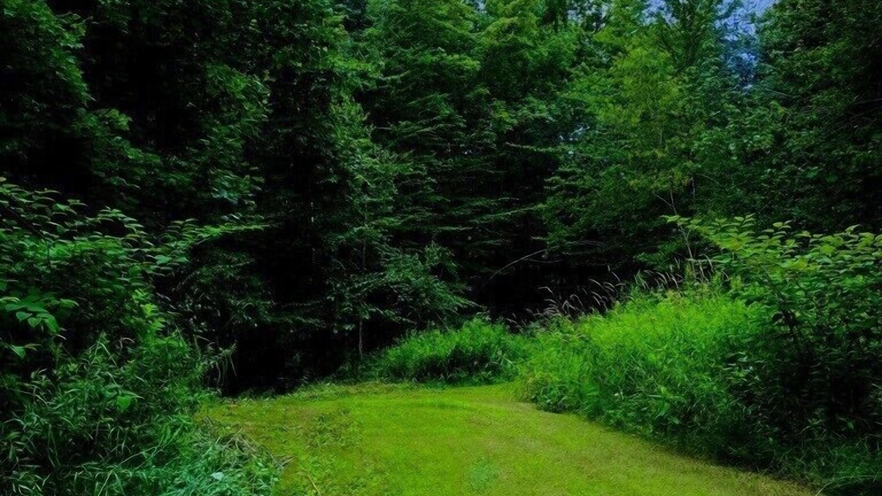 Photo of Outdoor in Cleveland