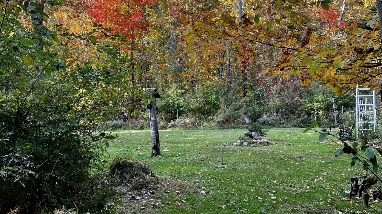 Photo of Outdoor in Cleveland