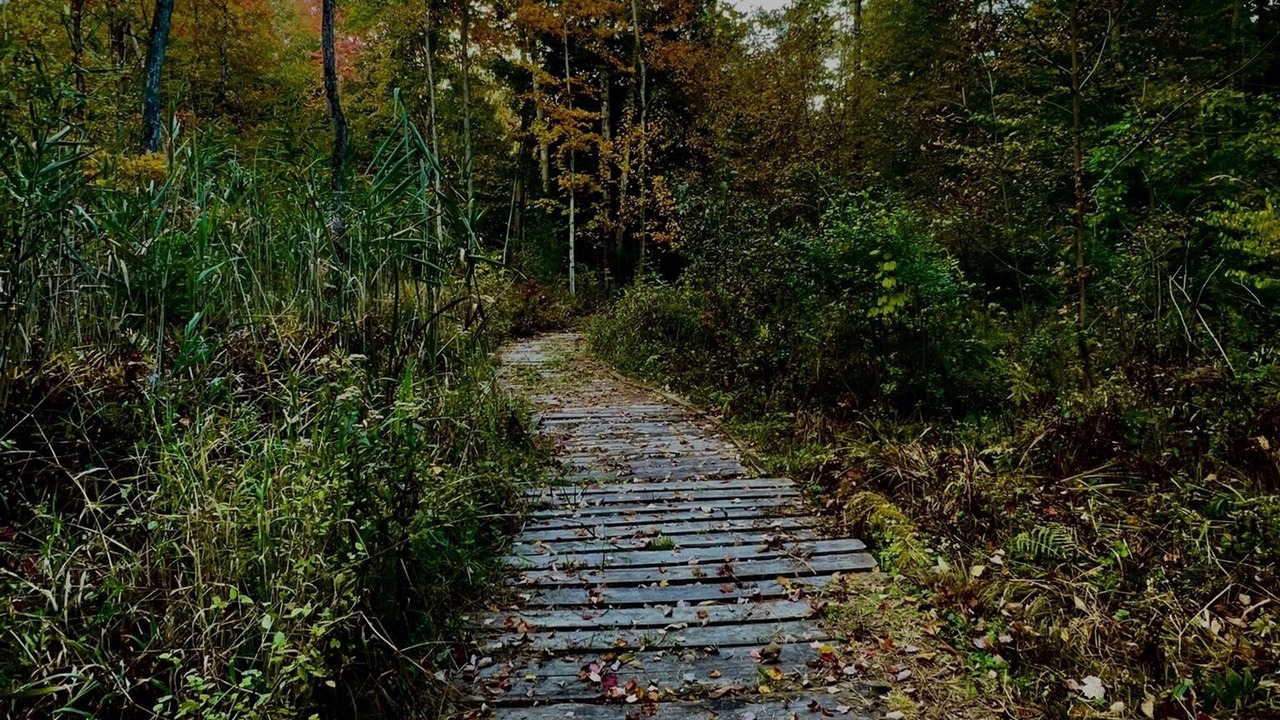 Photo of Outdoor in Cleveland