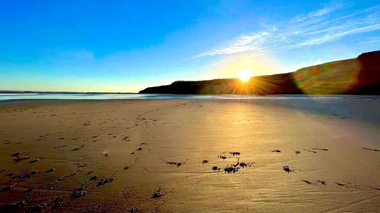 Photo of Others in Cayton Bay