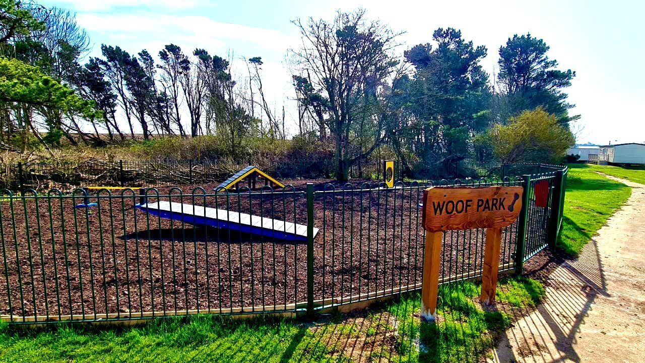 Photo of Others in Cayton Bay