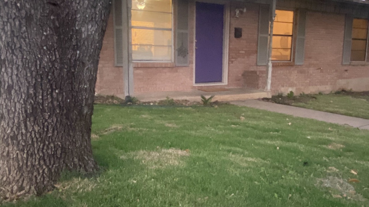 Photo of Outdoor in Allandale