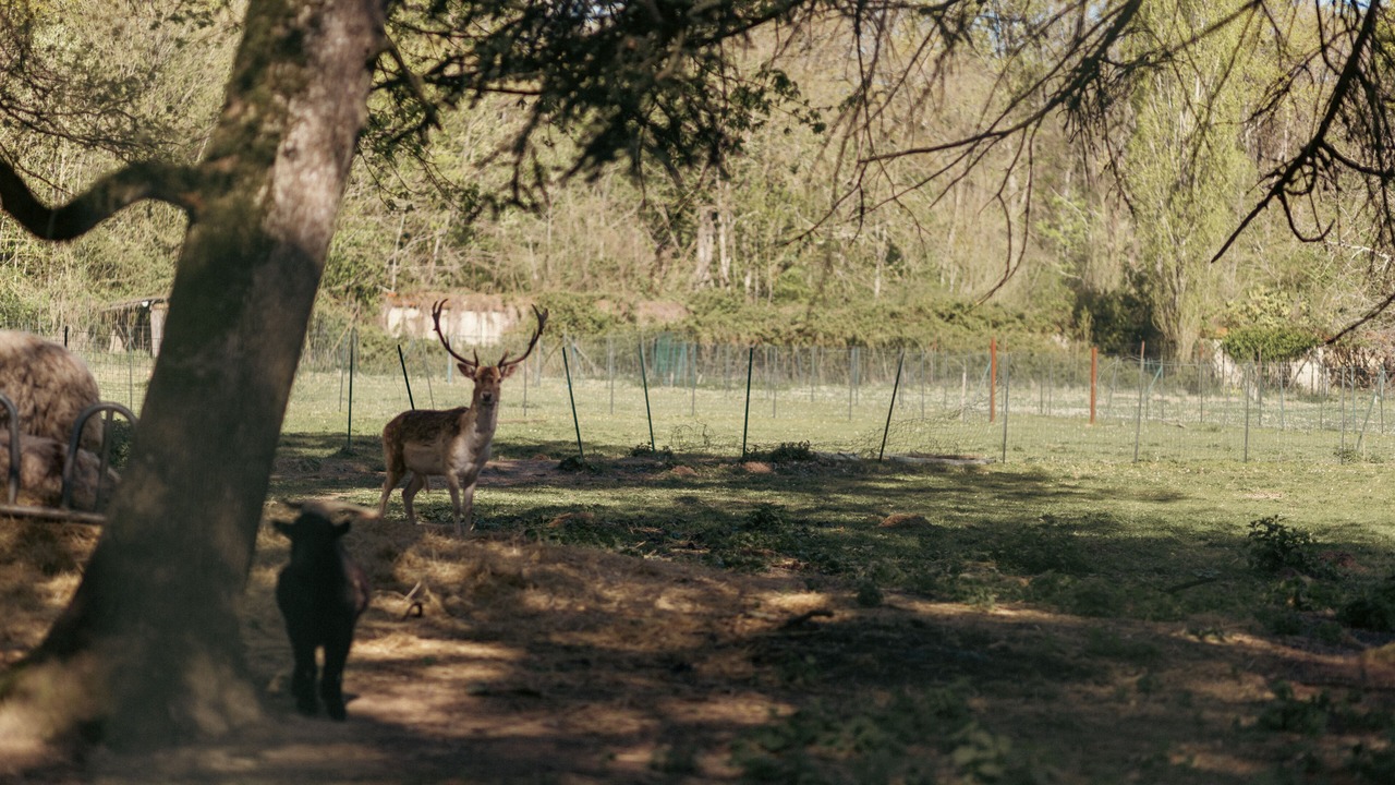 Photo of Outdoor in Cere-la-Ronde